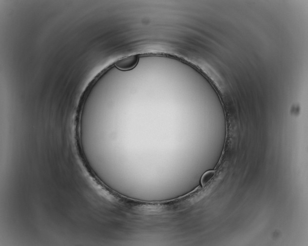 X0000101181134200807111109