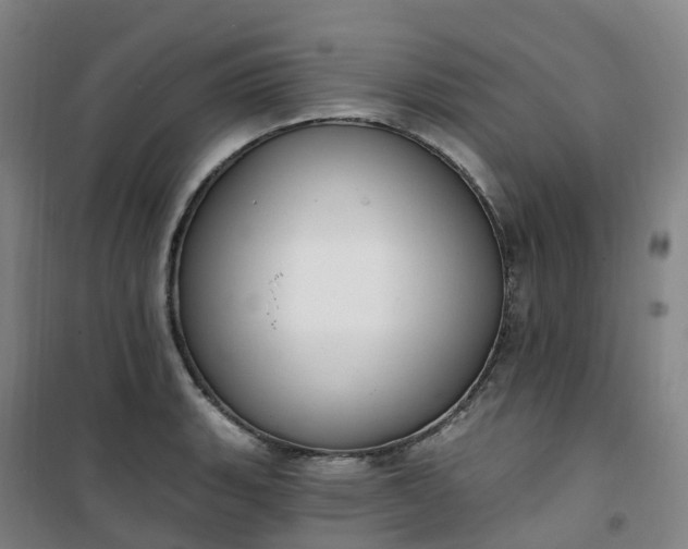 X0000101181135200807111109
