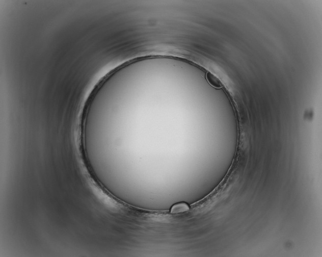 X0000101181136200807111109