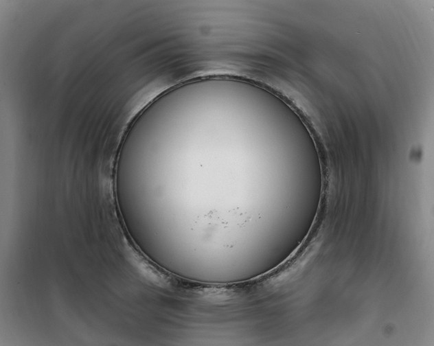 X0000101181137200807111109