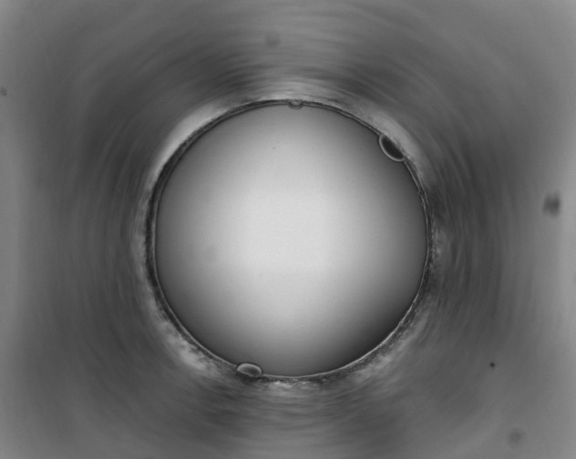 X0000101181138200807111109