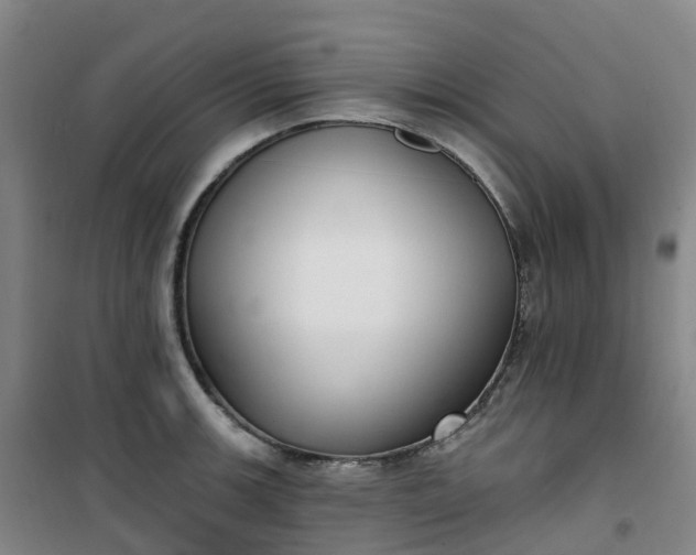 X0000101181139200807111109