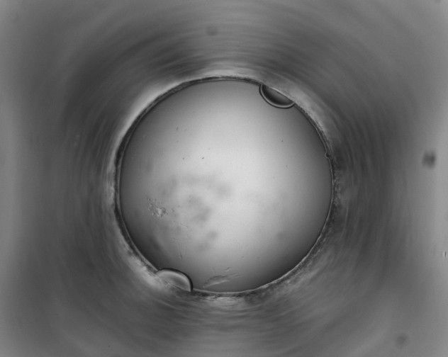 X0000101181140200807111109