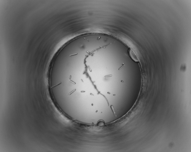 X0000101181141200807111109