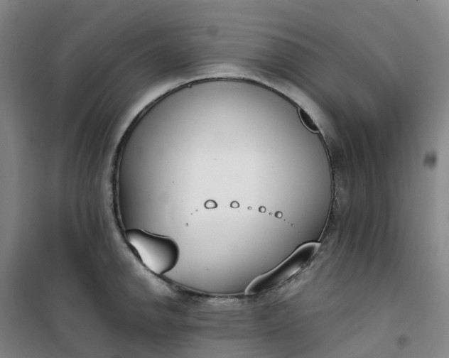 X0000101181142200807111109