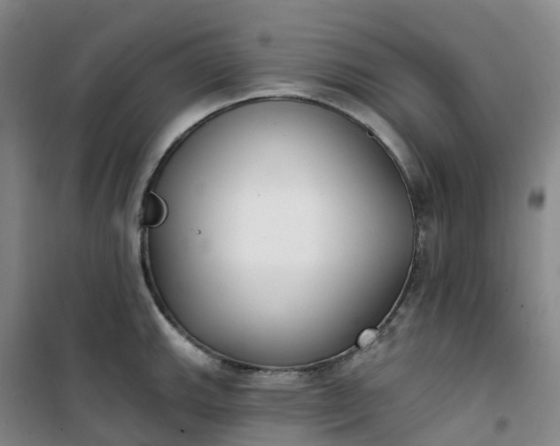 X0000101181143200807111109