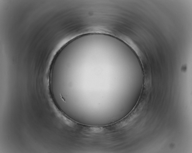 X0000101181144200807111109