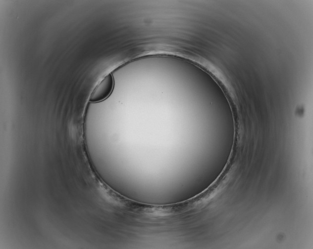 X0000101181145200807111109