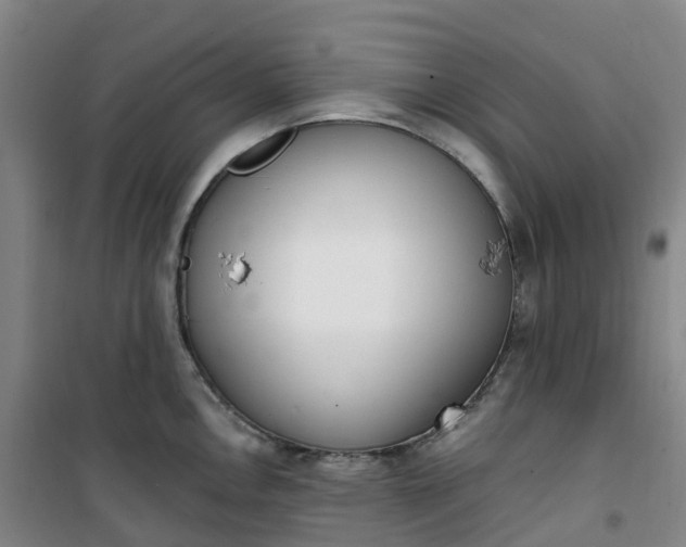 X0000101181146200807111109