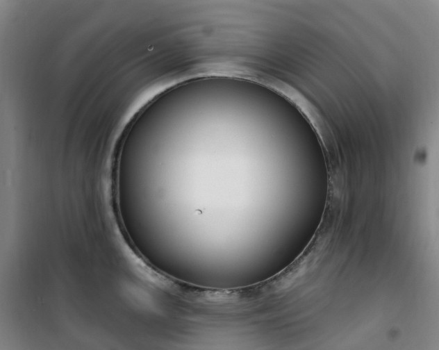 X0000101181147200807111109