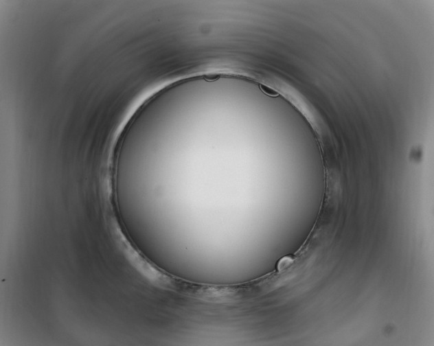X0000101181148200807111109