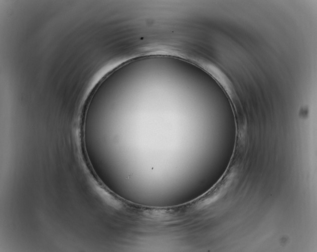 X0000101181149200807111109