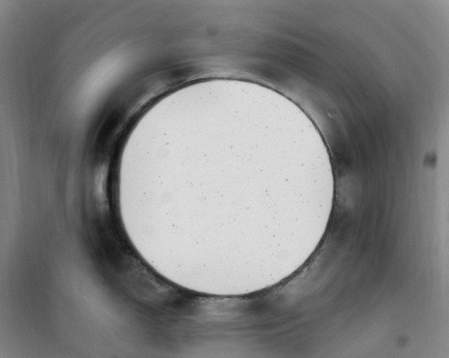 X0000101181150200807111109