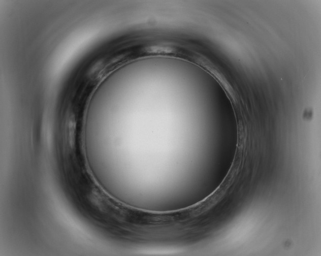 X0000101181151200807111110