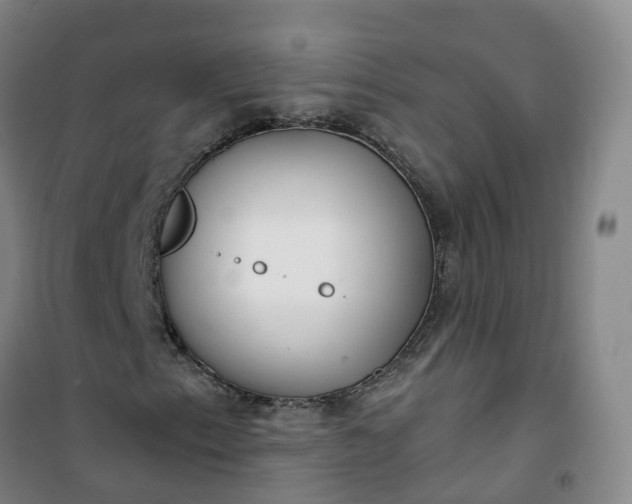 X0000101181153200807111109