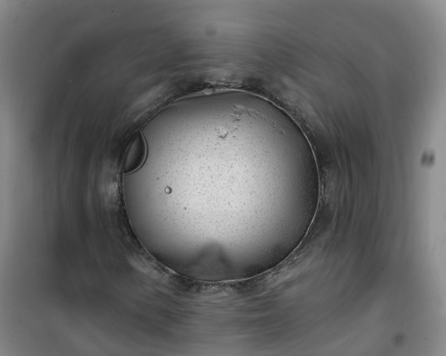 X0000101181154200807111109