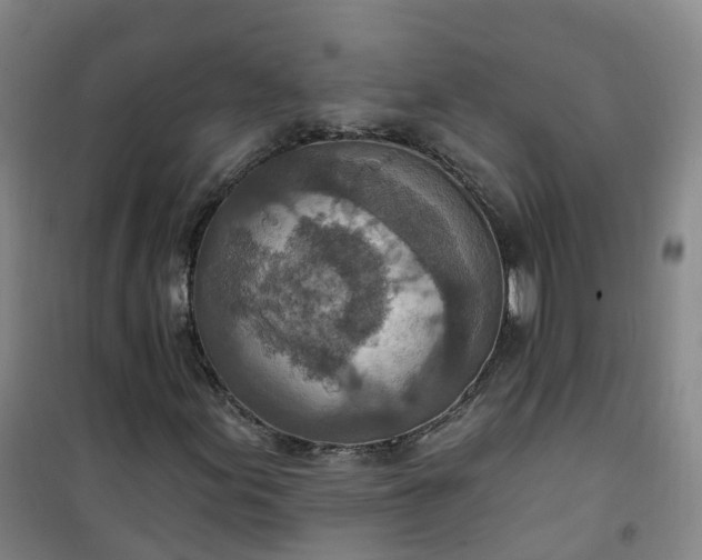 X0000101181155200807111109