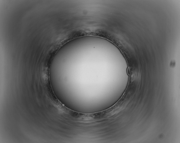 X0000101181156200807111109