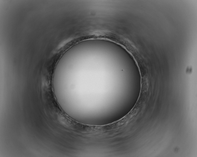 X0000101181158200807111109