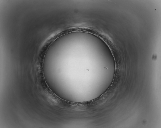 X0000101181159200807111109