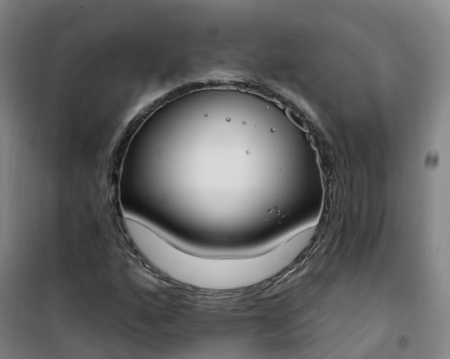 X0000101181160200807111109