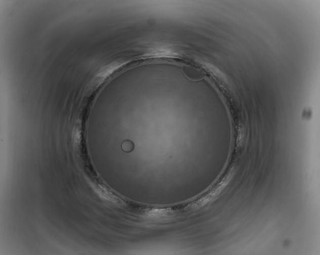 X0000101181161200807111109