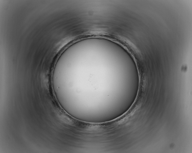 X0000101181162200807111109