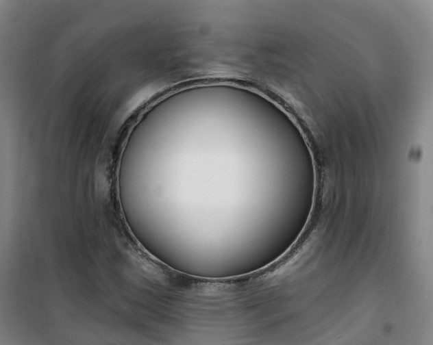 X0000101181163200807111109