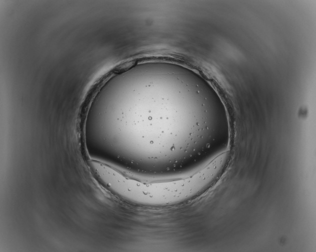 X0000101181164200807111109