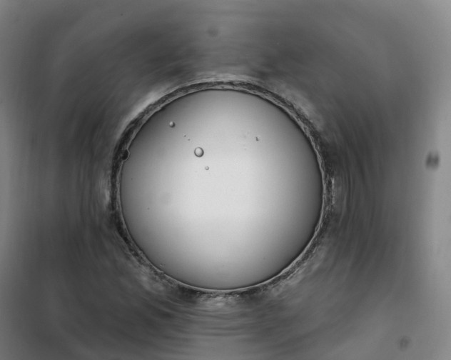 X0000101181165200807111108