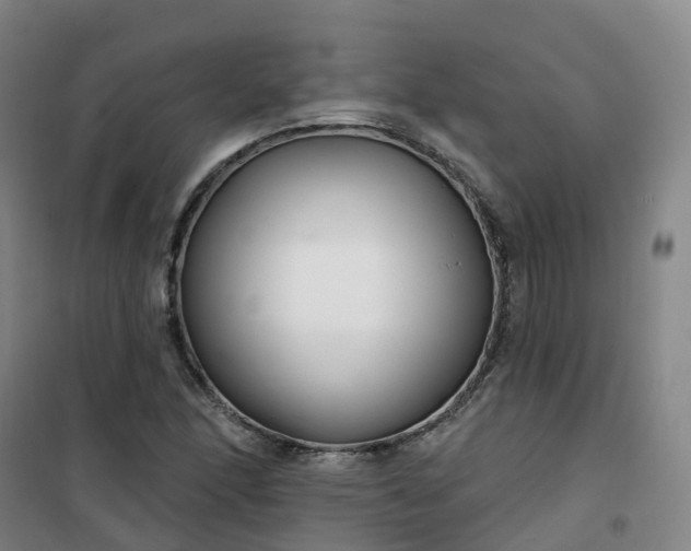 X0000101181166200807111108