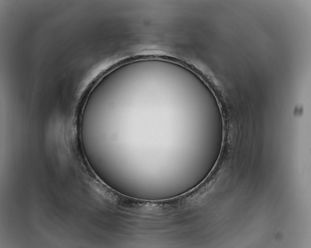 X0000101181167200807111108