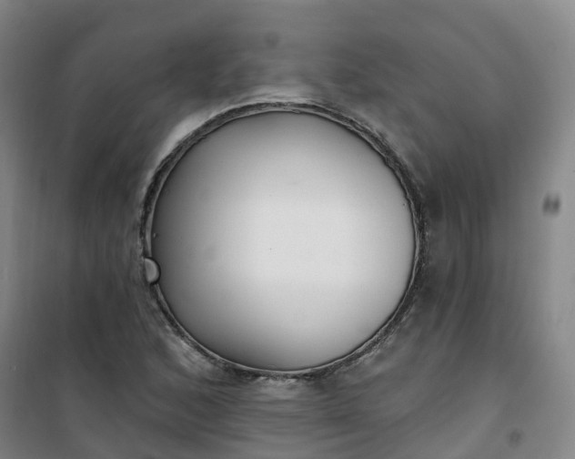 X0000101181168200807111108