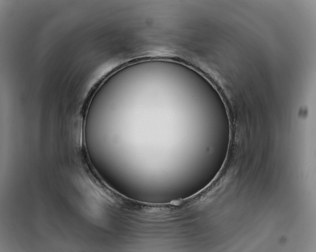 X0000101181171200807111108
