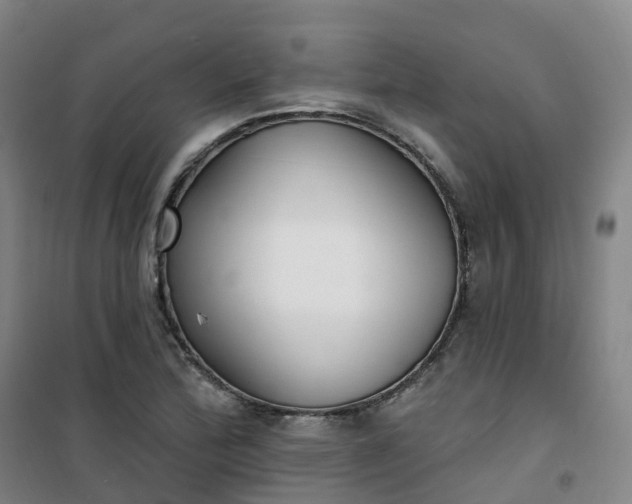 X0000101181172200807111108
