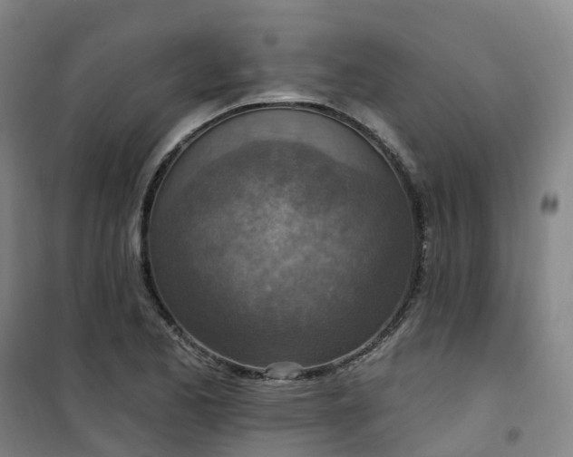 X0000101181173200807111108