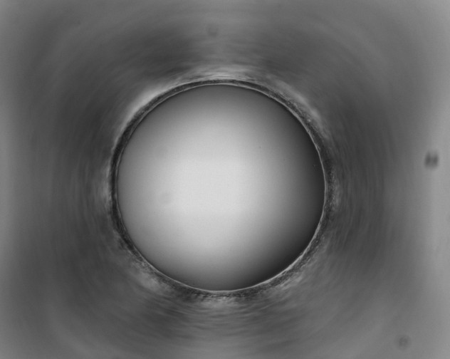 X0000101181174200807111108