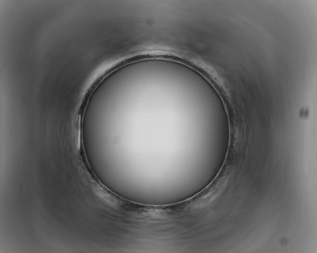 X0000101181175200807111108