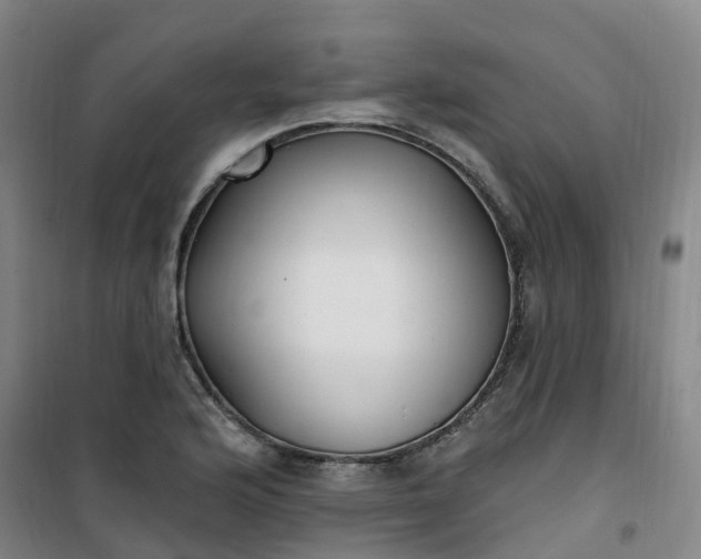 X0000101181176200807111108