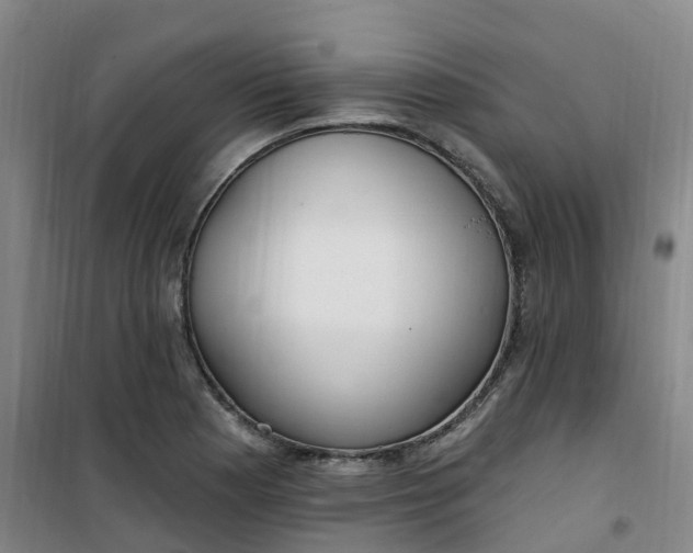 X0000101181177200807111108