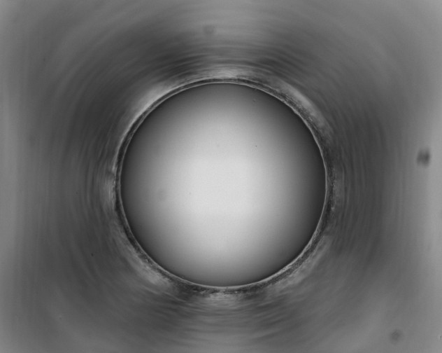 X0000101181178200807111108
