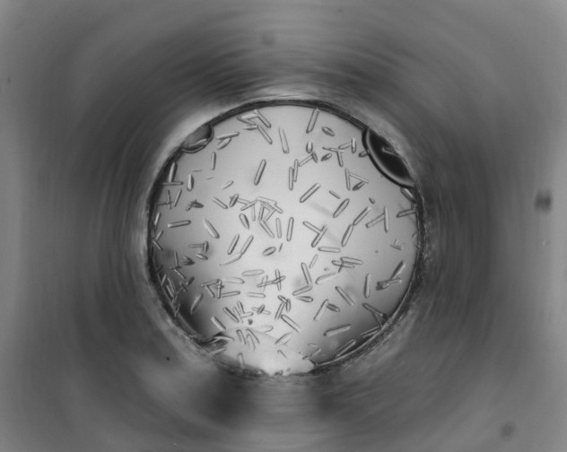 X0000101181179200807111108