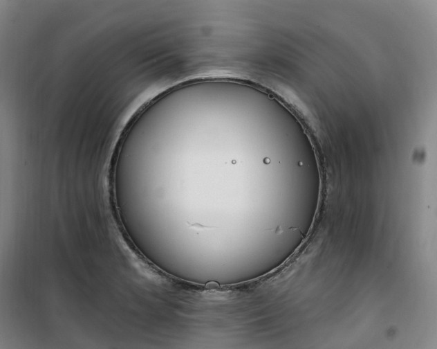 X0000101181181200807111108