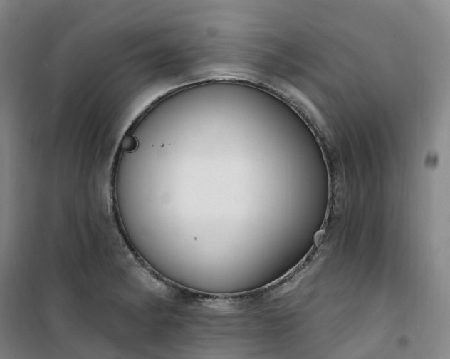 X0000101181182200807111108