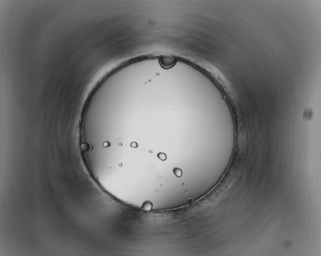X0000101181183200807111108
