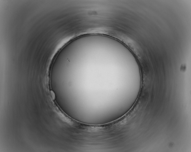 X0000101181184200807111108