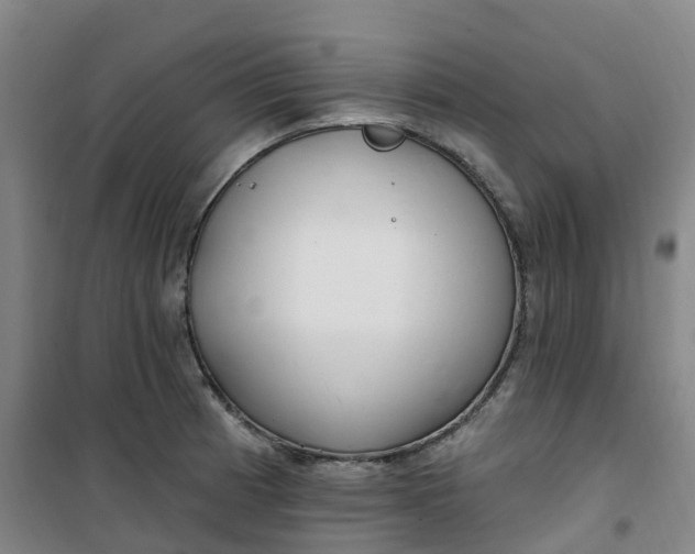 X0000101181185200807111108