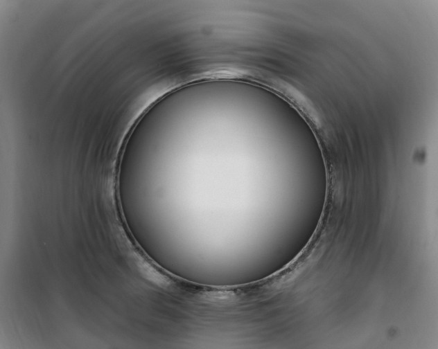 X0000101181186200807111108