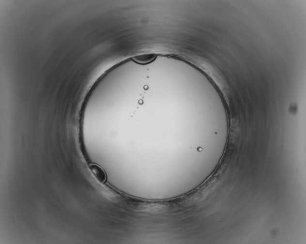 X0000101181187200807111108