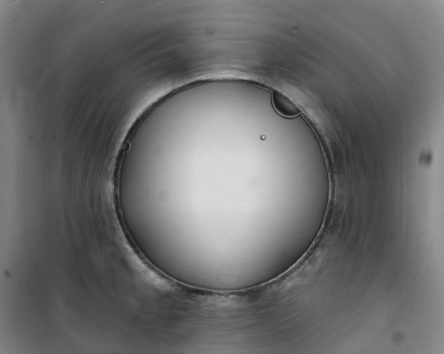 X0000101181189200807111108